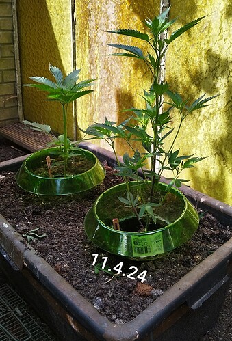 Growreport Bild 11