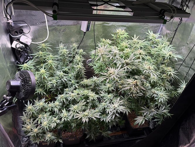 Growreport Bild 32