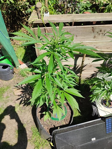 Growreport Bild 15