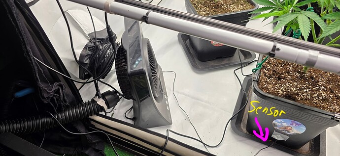 Growreport Bild 20