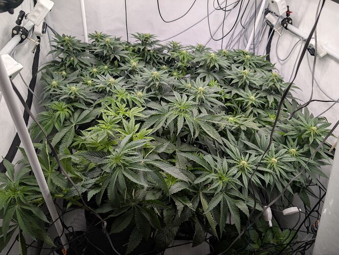 photo_2025-11-25_12-41-33