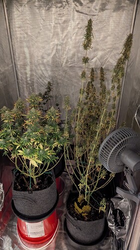 Growreport Bild 2