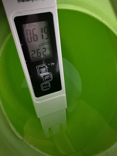 Growreport Bild 11