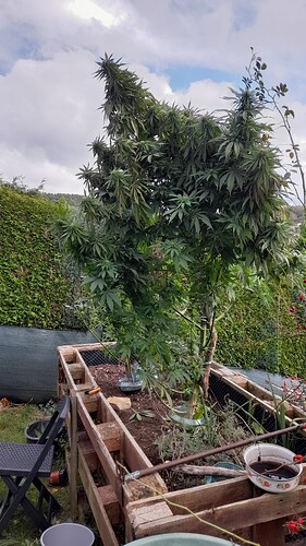 Growreport Bild 16