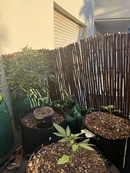 Growreport Bild 10