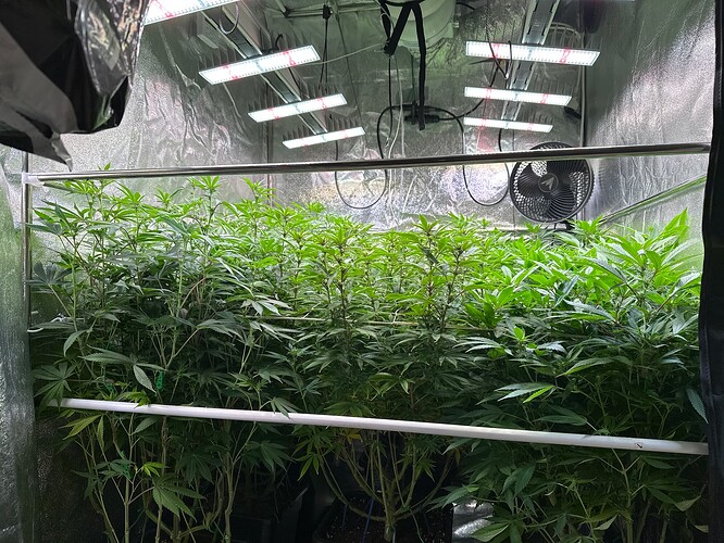 Growreport Bild 6