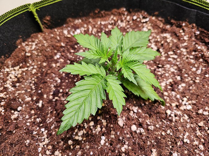 Growreport Bild 8