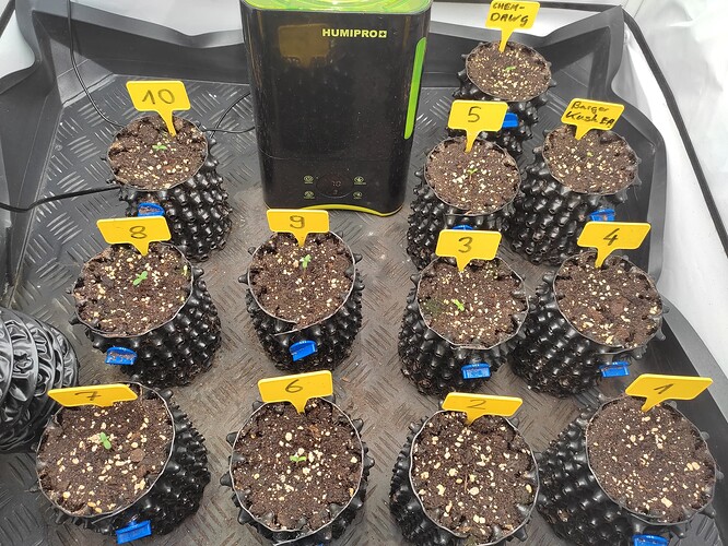 Growreport Bild 13