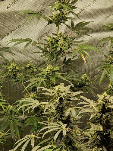 WhatsApp Bild 2024-06-03 um 20.05.24_42cb2ef0