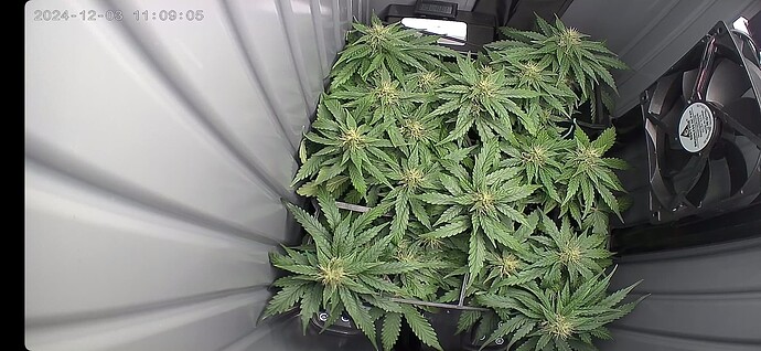 Screenshot_20241203_110906_O-KAM Pro