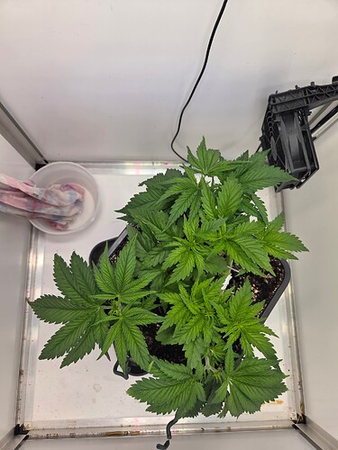Growreport Bild 2