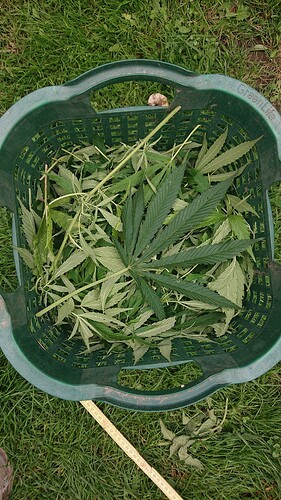 Growreport Bild 18