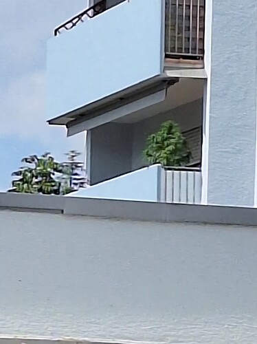 Growreport Bild 30