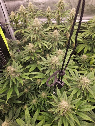Growreport Bild 19