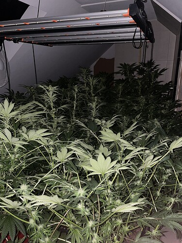 Growreport Bild 15