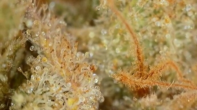 Growreport Bild 14