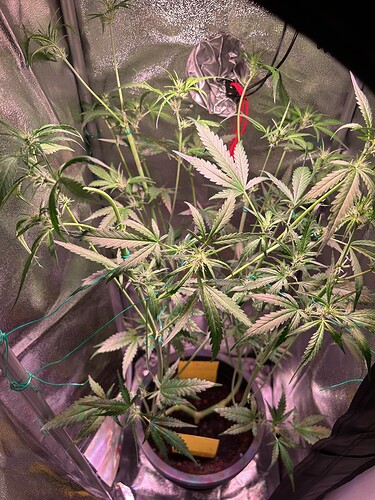 Growreport Bild 10