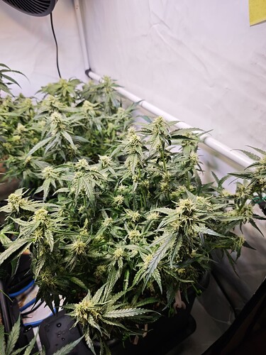 MVIMG_20251103_190418