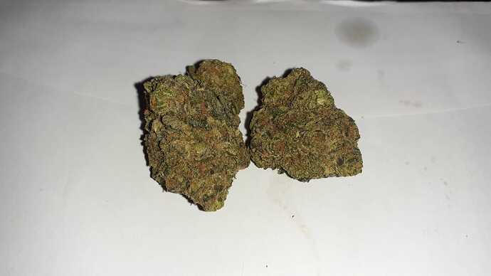 91e4bb42-b7de-4292-b1d2-fda3a64d3de0