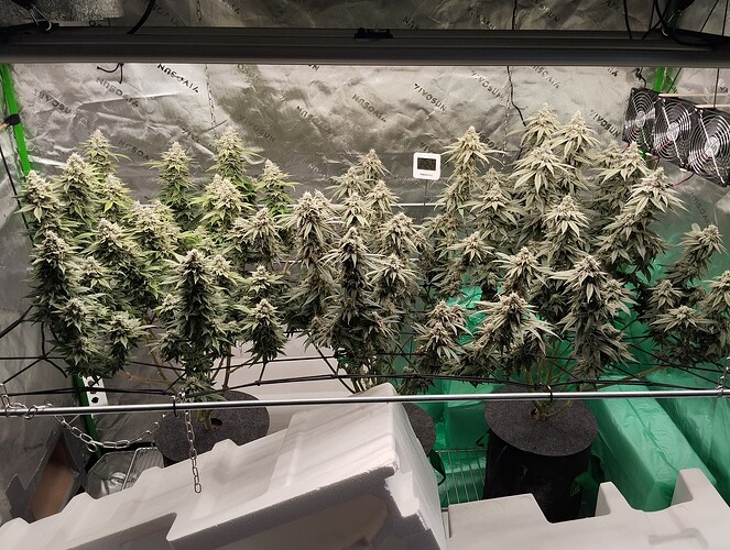 Growreport Bild 8