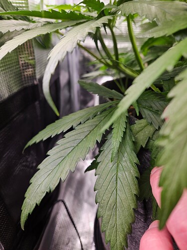 Growreport Bild 5