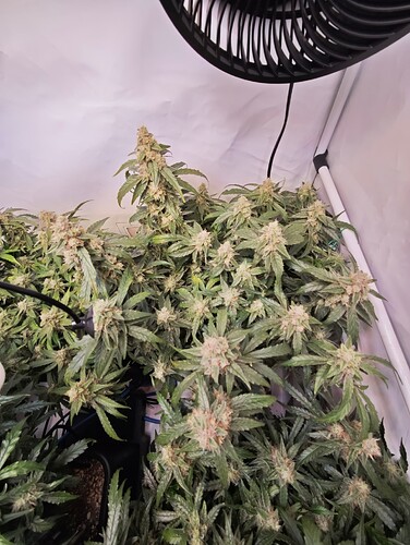 MVIMG_20251116_204849