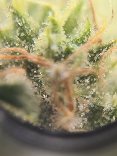 Growreport Bild 26