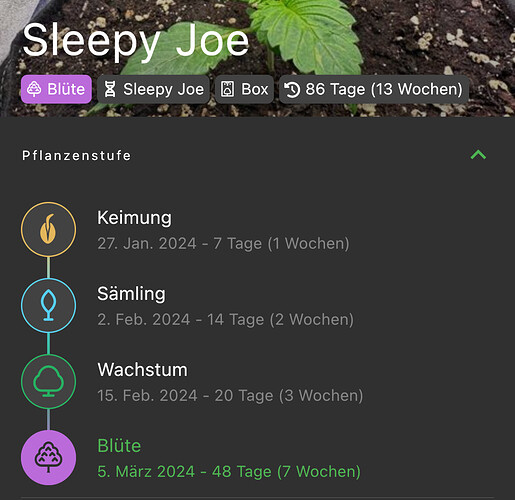 Growreport Bild 7
