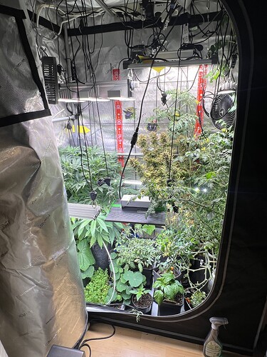 Growreport Bild 9
