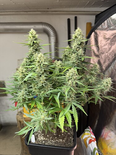 Growreport Bild 14