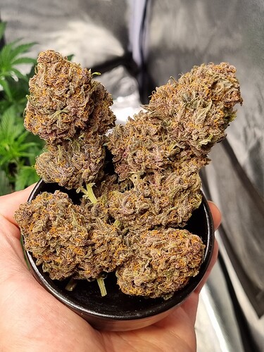 Growreport Bild 14