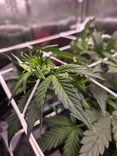 Growreport Bild 6