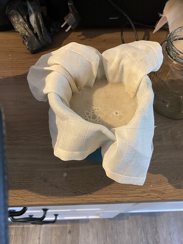 Growreport Bild 6