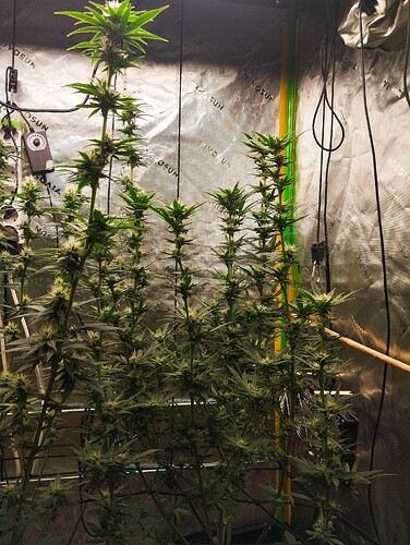 Growreport Bild 4