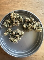 Growreport Bild 10