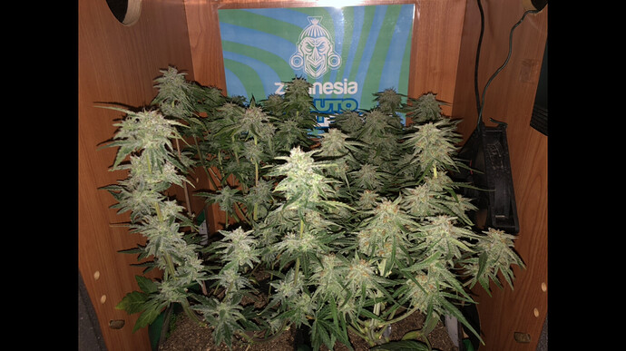 Growreport Bild 23