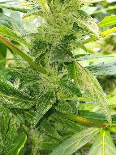 Growreport Bild 10