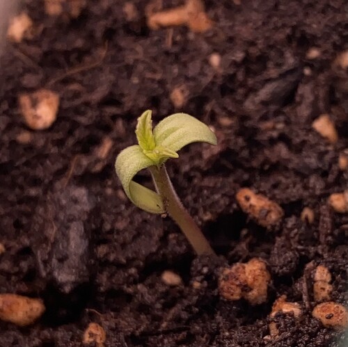 Growreport Bild 8