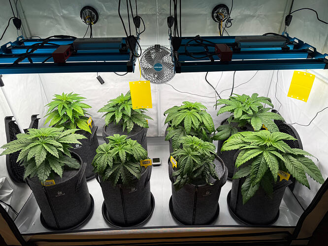 Growreport Bild 1