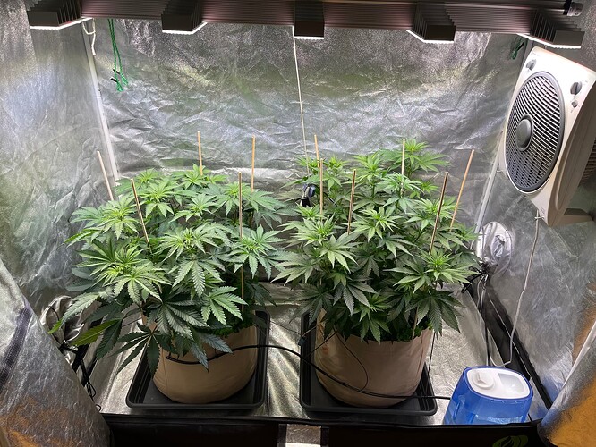 Growreport Bild 2