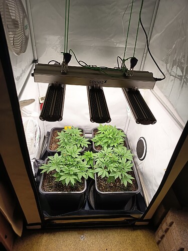 Growreport Bild 15