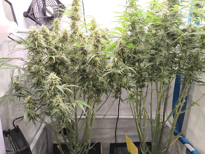 Growreport Bild 1