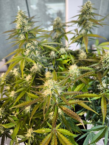 Growreport Bild 10