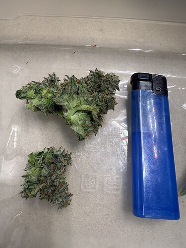 Growreport Bild 2