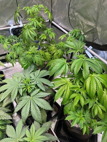 Growreport Bild 23