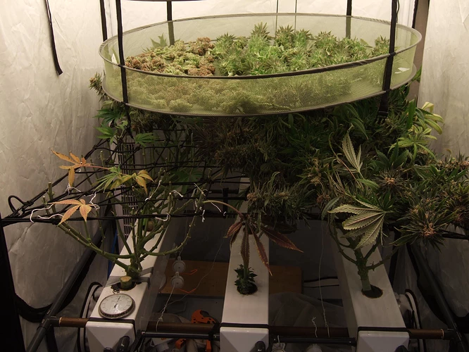 Growreport Bild 4