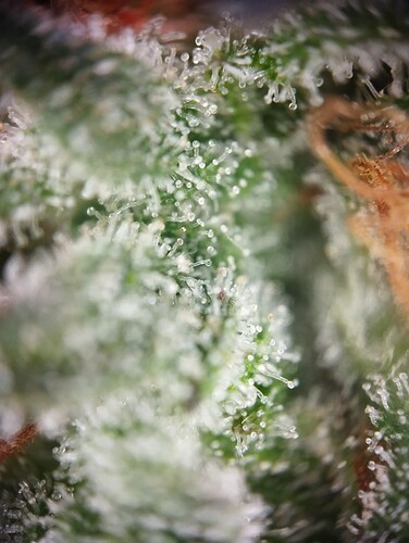Growreport Bild 10
