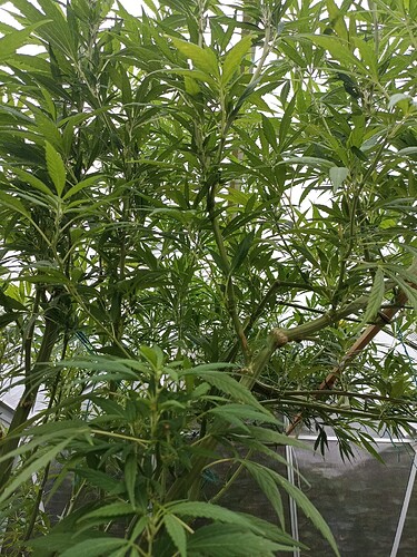 WhatsApp Bild 2024-09-19 um 08.47.10_5b68ac1f