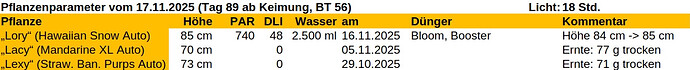 Growreport Bild 32