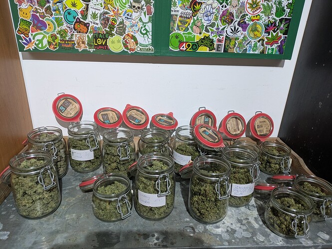 Growreport Bild 7